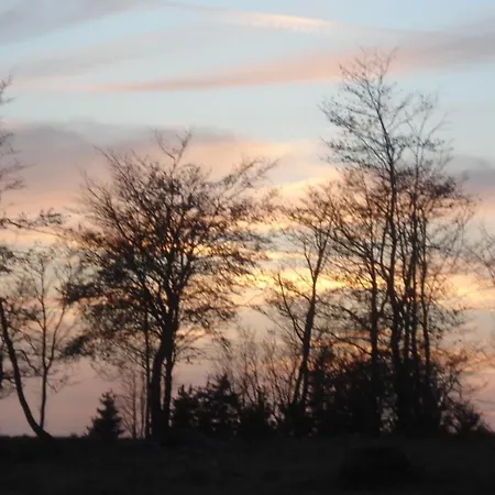 Πανσιόν Sonnenschein 3*