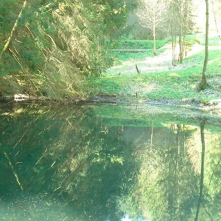 Sonnenschein