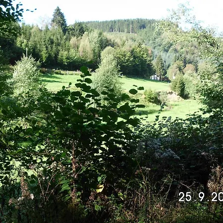 Sonnenschein