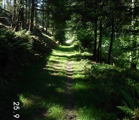 Affittacamere Sonnenschein 3*