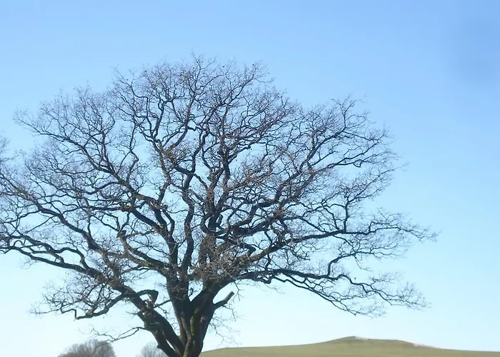 Sonnenschein Affittacamere 3*