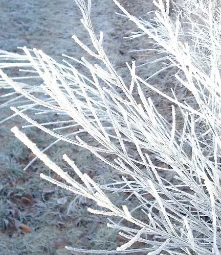 Sonnenschein Schmallenberg