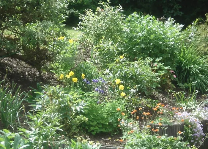 Sonnenschein 3* Schmallenberg